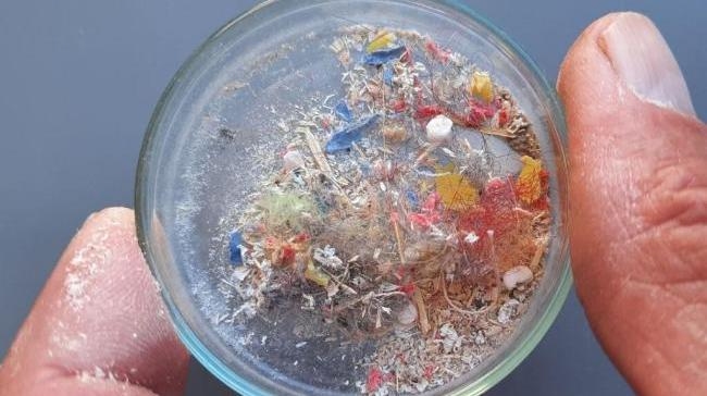 microplastics found in human blood for first time