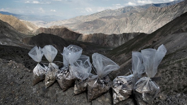 mine of afghan