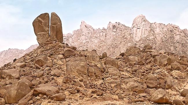 mount sinai saudi 2 1