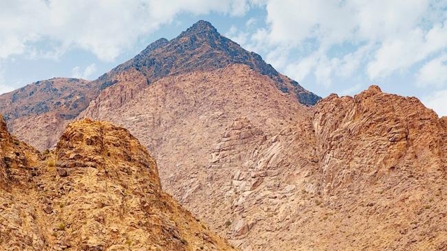 mount sinai saudi