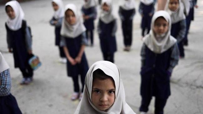move to iran for education