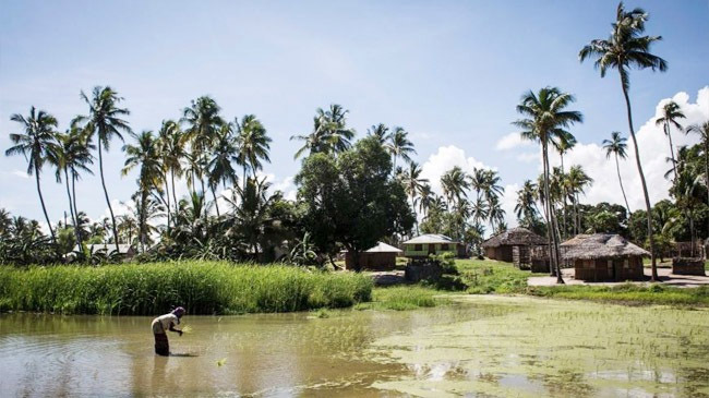 mozambic town controled inner