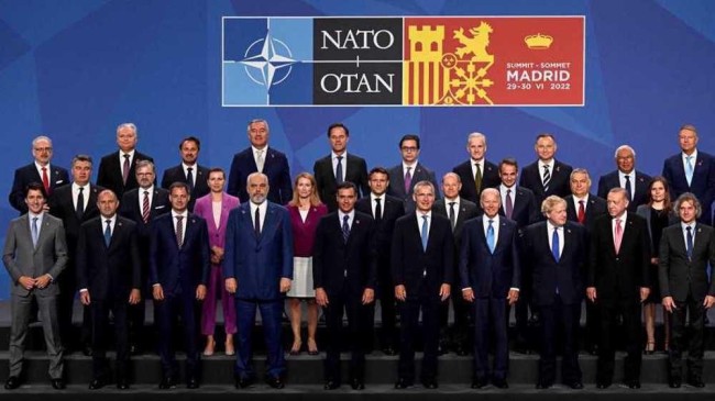 nato tlsd 