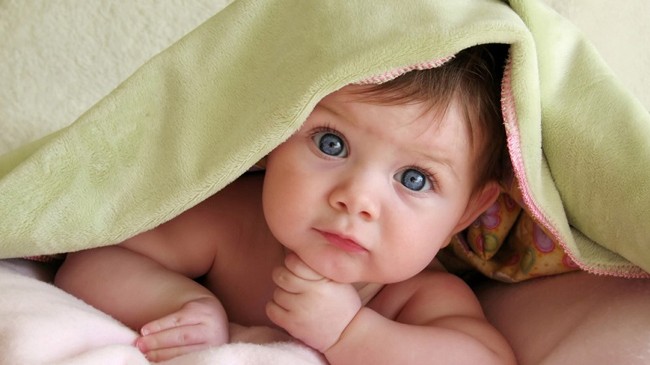 new born baby in netherlands
