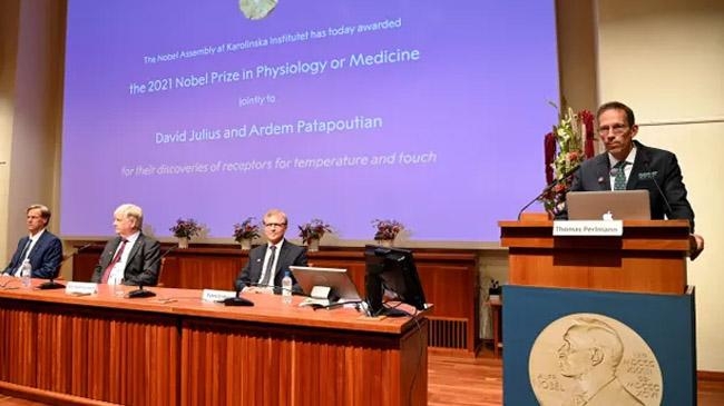 nobel committee anouncement
