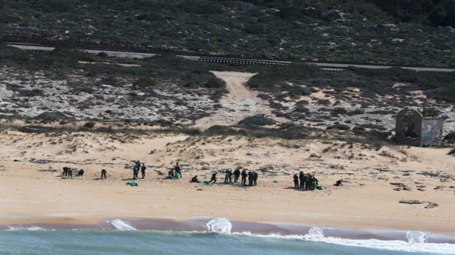 oil on israeli beaches