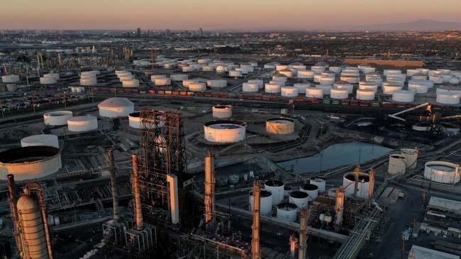 oil plant 2