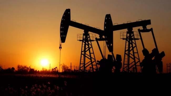 oil plant