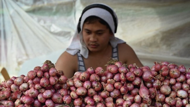 onion in philipine