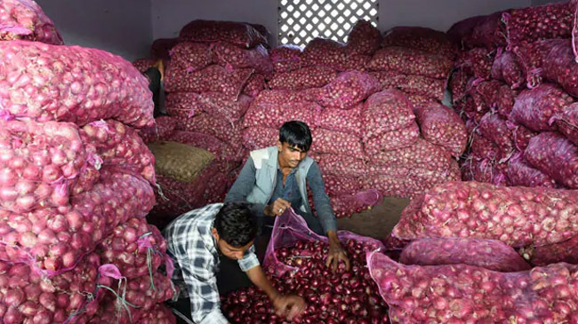 onion traders india