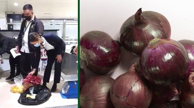 onions in airport