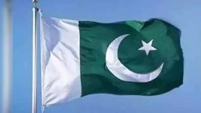 pakistan flag 2