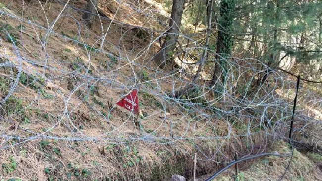 pakistani troops violate loc