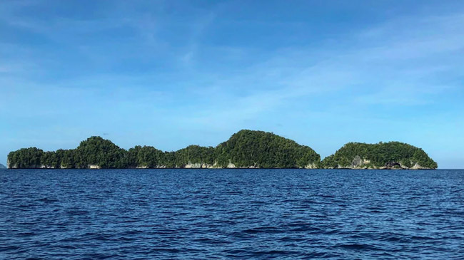palau urges to build base
