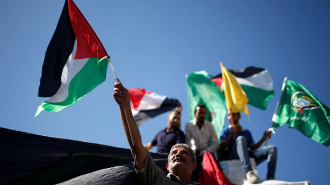 palestaine flag new