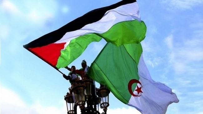 palestine algeria flag