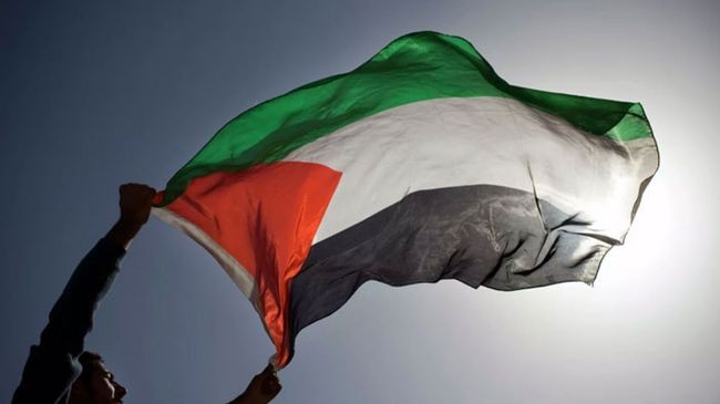 palestine flag 3