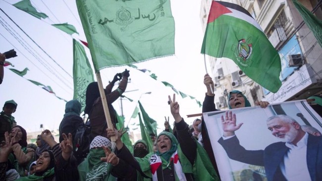 palestine hamas tlsd