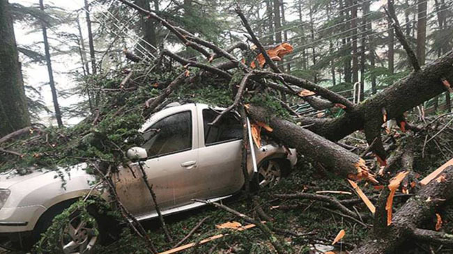 panjab disaster