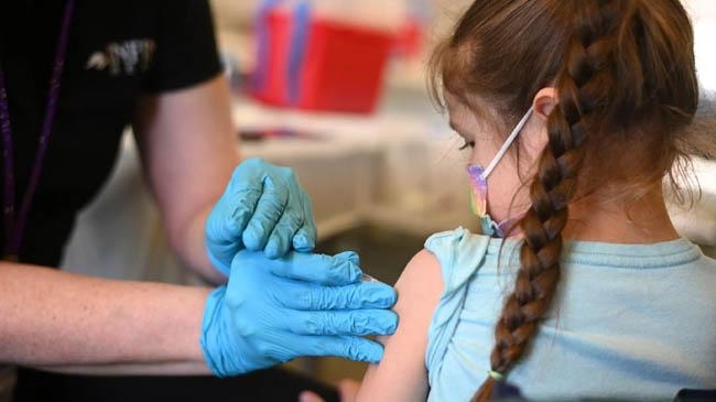 pfizer bringing child vaccine february