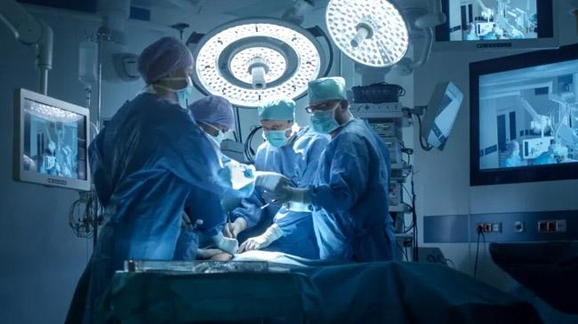 pig kidney human body us scientists successful