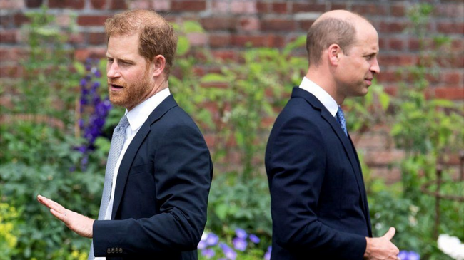 prince harry and prince william