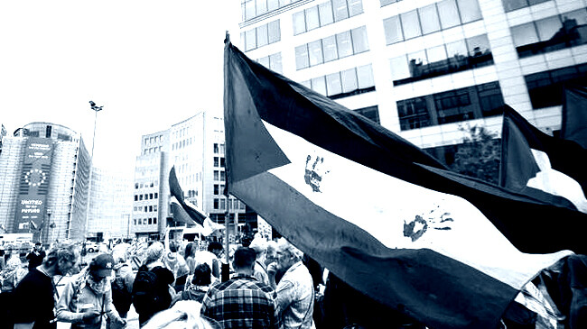 protest in support of palestine in brussels