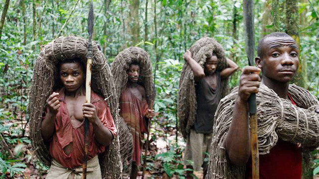 pygmy people 1