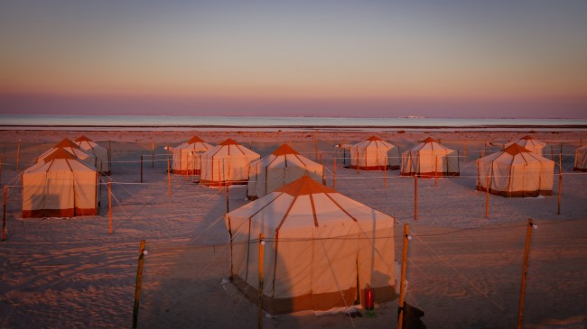 qatar tent group