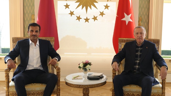 qatars emir sheikh tamim bin hamad al thani and recep tayyip erdogan