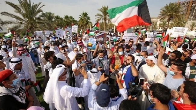 rally for palastine 1