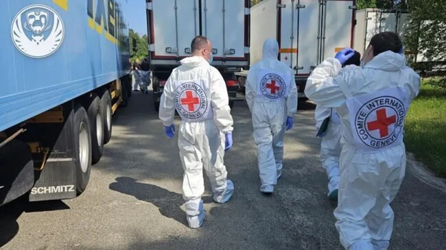 red cross members