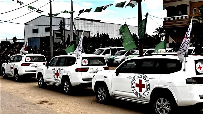 red cross 1