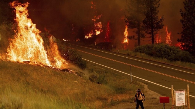 report finds humans have caused nearly 96 of u s wildfires in 2022