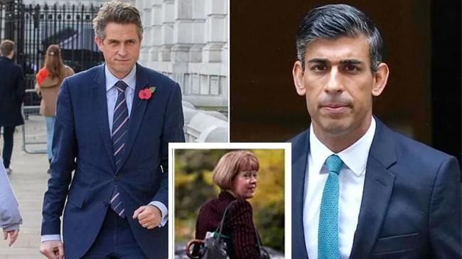rishi sunak and gavin williamson