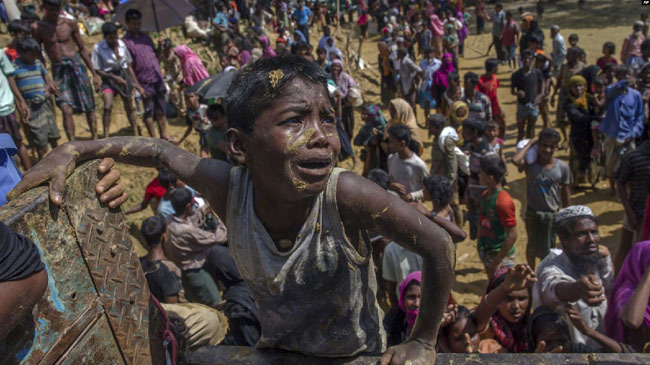 rohingya crisis