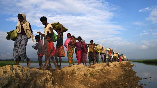rohingya fleeing to bangladesh