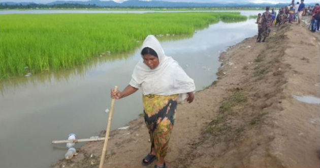 rohingya hasina begum