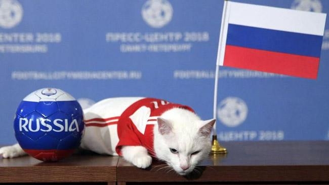 russian cat