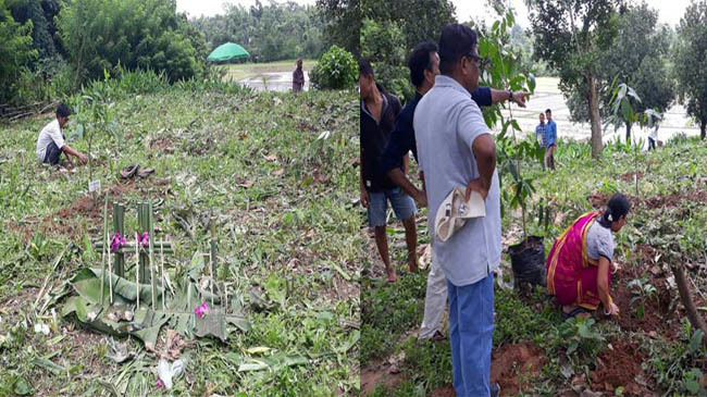 sacred forest tripura