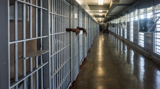 saudi academic freed after almost 10 year prison