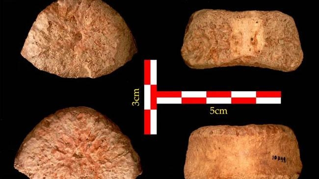 scientists date human bone israel