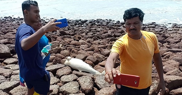 selfi with dolphin