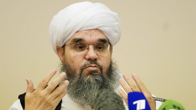 shahabuddin delawar taliban