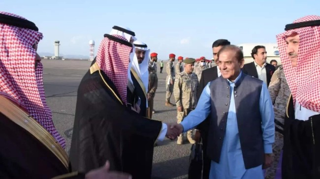 shahbaz ksa