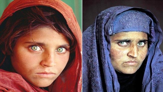 sharbat gula