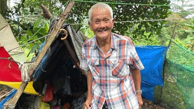 singapore forest for 30 years old man
