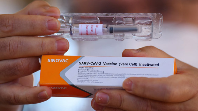 sinovac cv vaccine