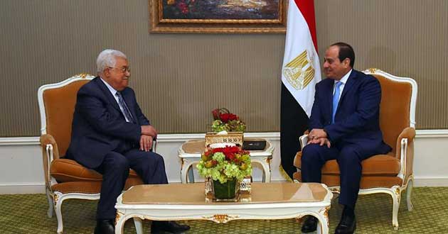 sisi abbas