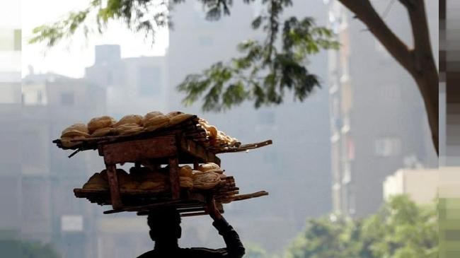sisi suggests egyptians eat tree leave